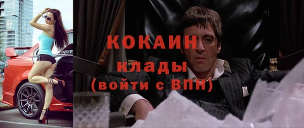 Альфа ПВП Верея