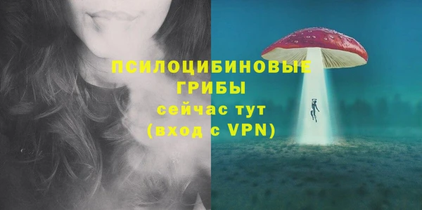 Альфа ПВП Верея