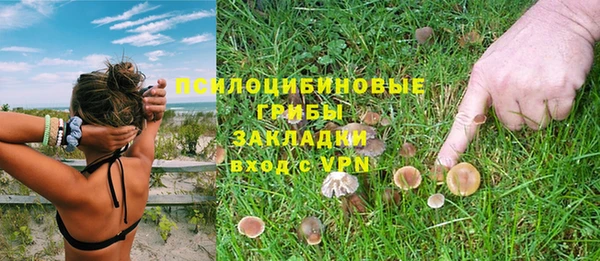 Альфа ПВП Верея