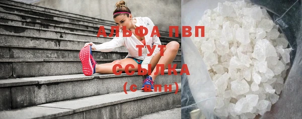 Альфа ПВП Верея