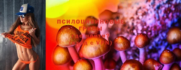 гашик Верхний Тагил