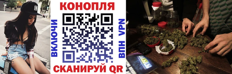 Бошки Шишки конопля  Северобайкальск 